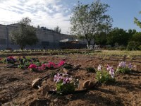 Taller de jardinería